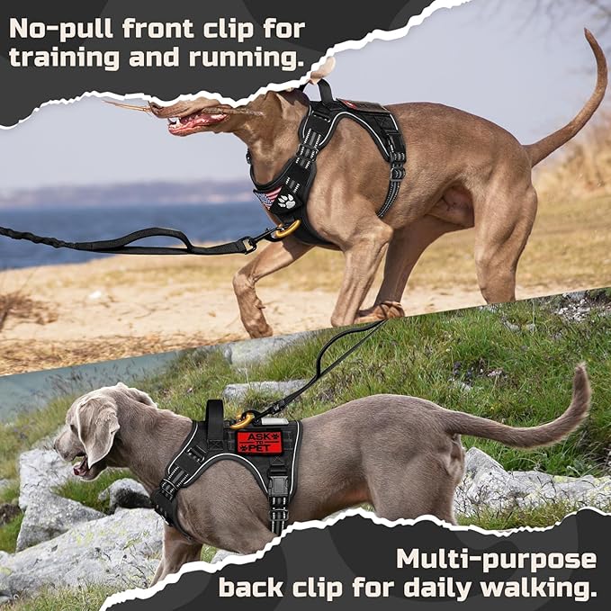 rabbitgoo Tactical Dog Harness for Large Dogs, No Pull Military Service Vest with Handle & Molle, Easy Control for Training Walking, Adjustable Reflective Straps, Black, L