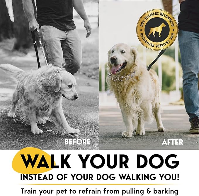 PetJett Prong Collar for Dogs Training Collar Adjustable Choke Collar for Dog Quick Release Pinch Collar for Dog for Small Medium Large Dogs No Pull Walking Tool - Stainless Steel Metal Choker Chain