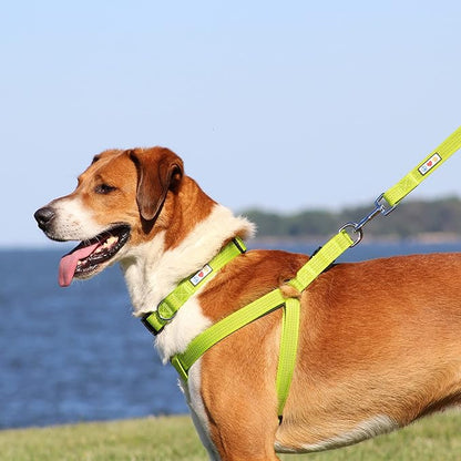 Pawtitas Reflective Step-in Dog Harness – Adjustable No-Pull Vest for Puppies to Seniors, Safe & Comfortable, L Purple