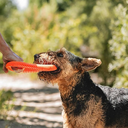 Chuckit! Rugged Flyer Dog Toy, Medium, Assorted Colors