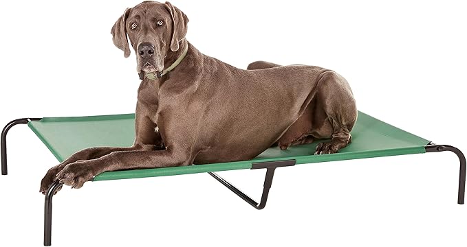 Amazon Basics Cooling Breathable Elevated Dog Bed with Durable Metal Frame for Large Dogs, X-Large, 60 x 37 x 9 Inch, Green, Easy to Clean