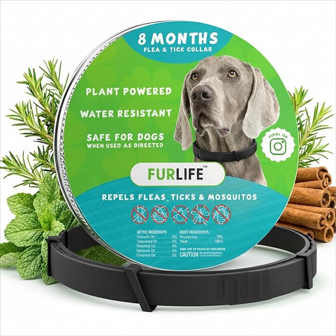 FurLife Flea and Tick Collar for Dogs – Waterproof Black Dog Collar, Pet Supplies for Tick and Flea Prevention for Dogs, Safe for All Breeds
