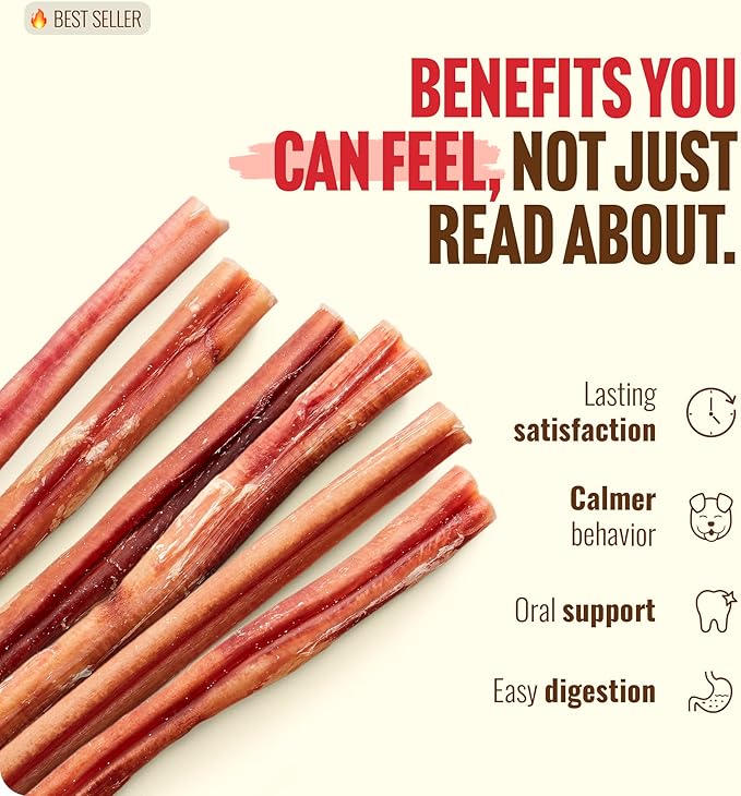 Natural Farm Odor-Free Bully Sticks (12 Inch, 12 Pack), 1.2 lbs. Per Bag, 100% Beef Pizzle Chews, Grass-Fed, Non-GMO, Fully Digestible Long Lasting Best Dental Treats to Keep Your Dogs Busy