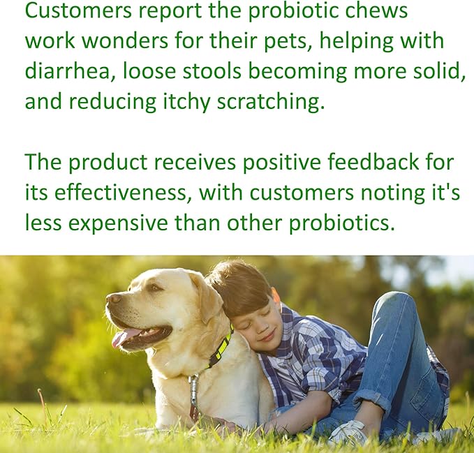 TummyWorks Probiotics for Dogs. 120 Probiotic Soft Chews for Digestive Health, Gut, Immunity, Energy, Allergies, Skin & Coat. 10 Strains, 5 Billion CFUs with 6 Enzymes. Made in USA