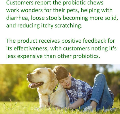 TummyWorks Probiotics for Dogs. 120 Probiotic Soft Chews for Digestive Health, Gut, Immunity, Energy, Allergies, Skin & Coat. 10 Strains, 5 Billion CFUs with 6 Enzymes. Made in USA
