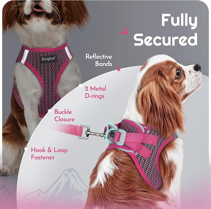 Eagloo Small Dog Harness and Leash Set, Step in Puppy Vest with Breathable Soft Mesh, Walking Reflective Pet Harness for Small Dogs, Rose Red, XS