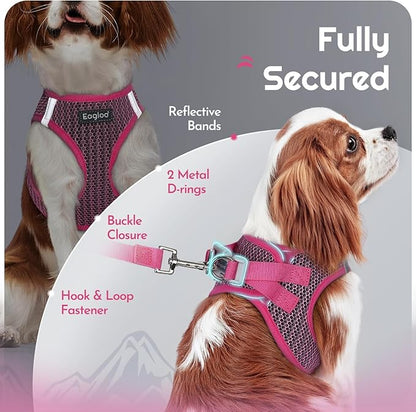 Eagloo Small Dog Harness and Leash Set, Step in Puppy Vest with Breathable Soft Mesh, Walking Reflective Pet Harness for Small Dogs, Rose Red, XS