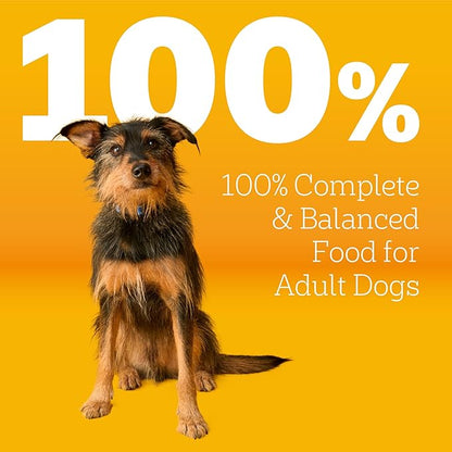 Pedigree Adult Dry Dog Food, Complete Nutrition, Roasted Chicken & Vegetable Flavor, 18 lb. Bag