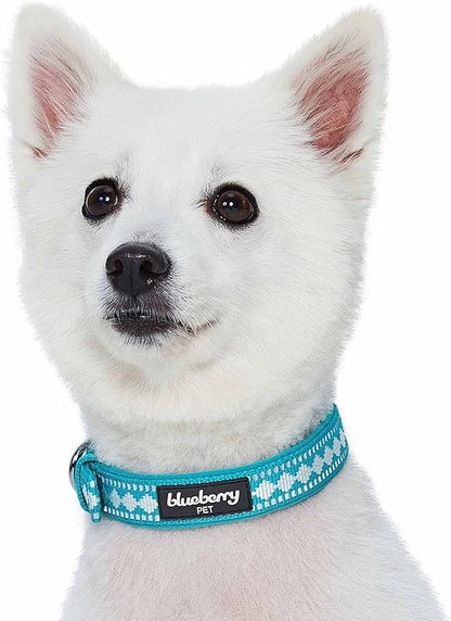 Blueberry Pet Reflective Jacquard Dog Collar with Neoprene Padding & Metal Buckle | Soft & Adjustable Safety Collar - Peacock, Neck 17-20.5", for Large Breed
