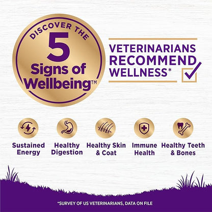 Wellness Complete Health Adult Dry Dog Food, Wholesome Grain Kibble, Natural, Beef and Barley Recipe, 26 lb Bag