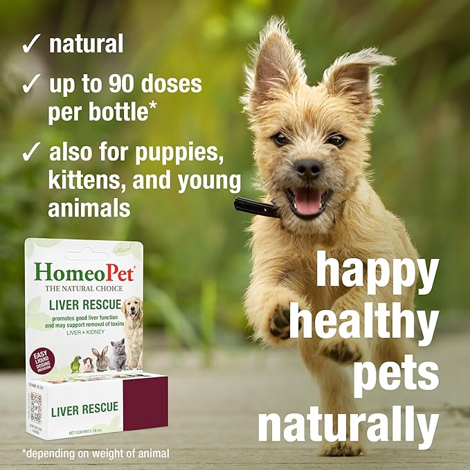 HomeoPet Liver Rescue, Safe and Natural Liver-Support Supplement for Cats, Dogs, and Other Small Animals, 15 Milliliters