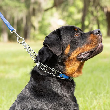 Herm Sprenger Chrome Plated Steel Dog Collar with Quick Release ClicLock Buckle O-Ring Biothane Insert Training Collar Made in Germany (Cerulean Blue, 25in x 4.0mm(Neck Size up to21-22in))