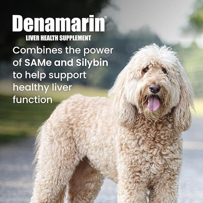 Nutramax Denamarin Liver Health Supplement for Large Dogs - with S-Adenosylmethionine (Same) and Silybin,30Count,(Pack of 2)