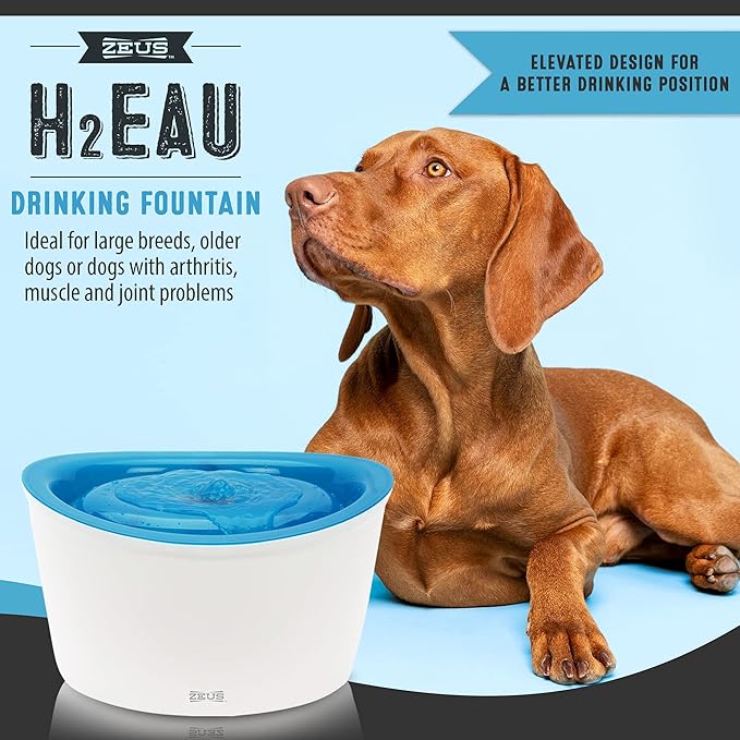 ZEUS H2EAU Elevated Dog and Cat Drinking Water Fountain with Purifying Filter, 6L Capacity (Pack of 2)