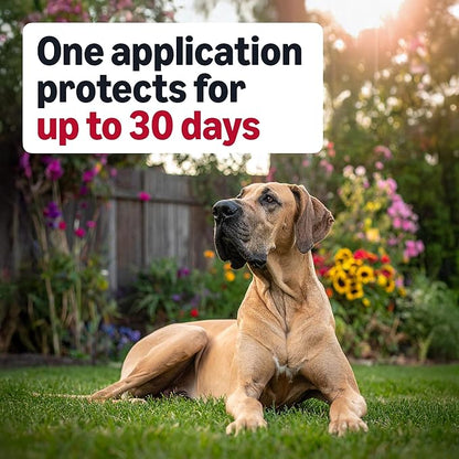 Amazon Basics Preventative Flea and Tick Topical Treatment for Dogs, X-Large (89-132 lbs), Fast Acting and Long Lasting, 6 Counts, Packaging May Vary