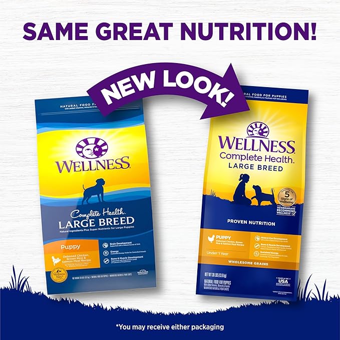 Wellness Complete Health Large Breed Adult Dry Dog Food, Wholesome Grain Kibble, Natural, Chicken, Oatmeal, and Salmon Recipe, 30 lb Bag