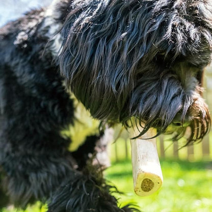 Cadet Stuffed Shin Bone, Highly Digestible, High Protein, Long-Lasting Dog Chew Bone for Aggressive Chewers, Supports Dental Health, Beef Flavor, Large, 1 Count (Pack of 2)