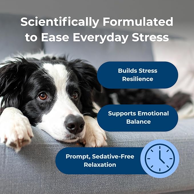 PetAg Dyne Soft Chews, Calming Supplement - Vet-Formulated for Dogs to Manage Normal Stress from Loud Noises, Travel & Separation - Non-Sedative - 60 Chicken Liver Flavor Chews