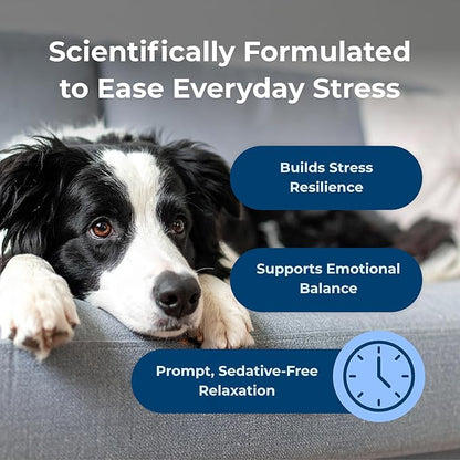 PetAg Dyne Soft Chews, Calming Supplement - Vet-Formulated for Dogs to Manage Normal Stress from Loud Noises, Travel & Separation - Non-Sedative - 60 Chicken Liver Flavor Chews