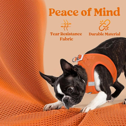 rabbitgoo Small Dog Harness, Step-in Soft Mesh Puppy Vest with Safety Buckle, Breathable Reflective Pet Harness for Extra Small Dogs, Orange XXXS