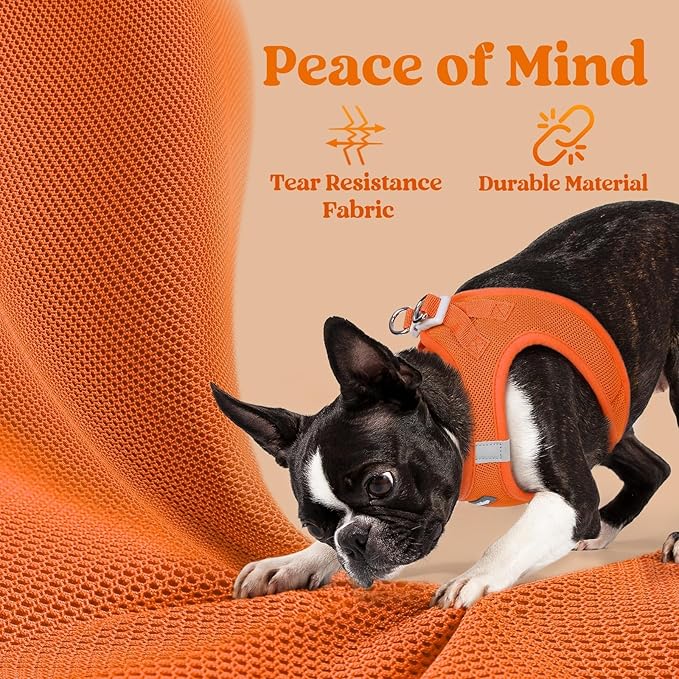 rabbitgoo Small Dog Harness, Step-in Soft Mesh Puppy Vest with Safety Buckle, Breathable Reflective Pet Harness for Small Sized Dogs, Orange M