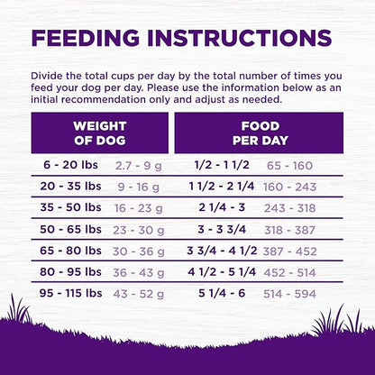 Wellness Complete Health Sensitive Skin and Stomach Dry Dog Food, Wholesome Grain Kibble, Natural, Chicken Free, Salmon and Rice Recipe, 24 lb Bag