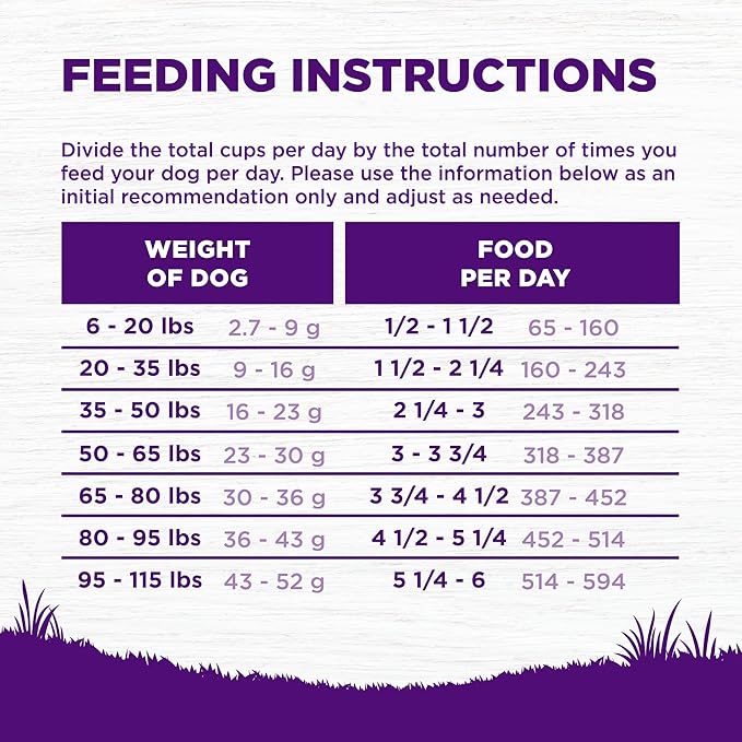 Wellness Complete Health Sensitive Skin and Stomach Dry Dog Food, Wholesome Grain Kibble, Natural, Chicken Free, Salmon and Rice Recipe, 5 lb Bag