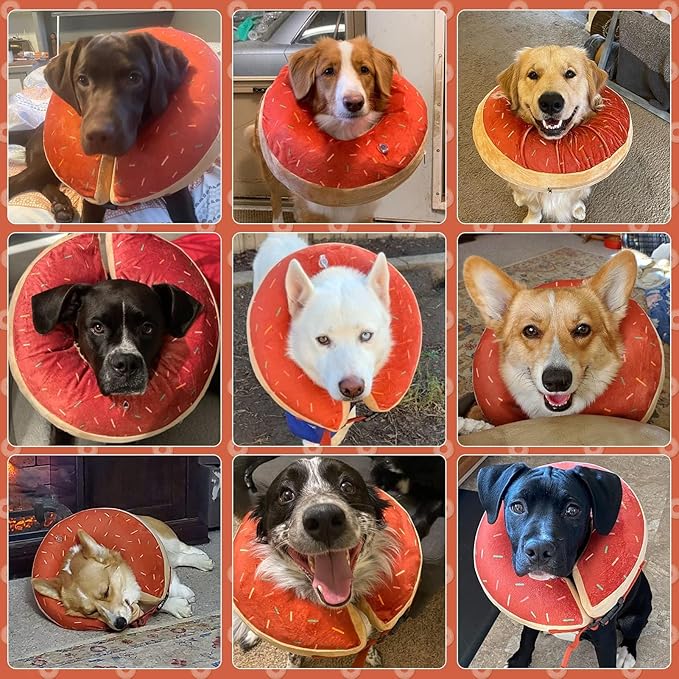 BINGPET Protective Dog Cone Collar,Soft Recovery Pet Cone for Dogs Cats,Washable Protective Recovery Collar for Large Medium Small Dogs,Inflatable Dog Cone