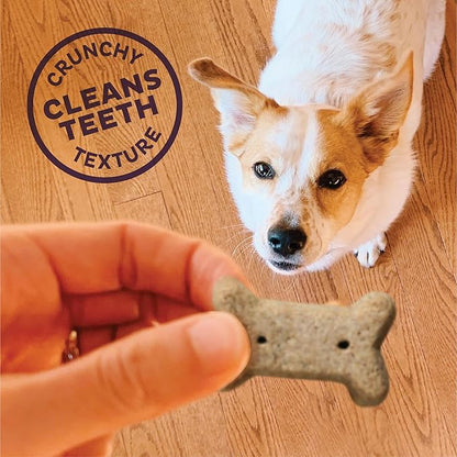 Old Mother Hubbard Wellness Original Mix Dog Biscuits,Natural,Training Treats,Four Flavors,Small Size,(6 Pound Bag),(Pack of 2)