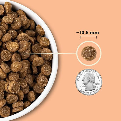 ACANA Wholesome Grains Dry Dog Food Puppy Recipe Real Chicken Eggs and Turkey 22.5lb Bag