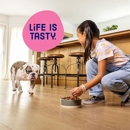 Kibbles 'N Bits Small Breed Mini Bits Savory Beef & Chicken Flavors Dog Food, 16-Pound(Pack of 1)