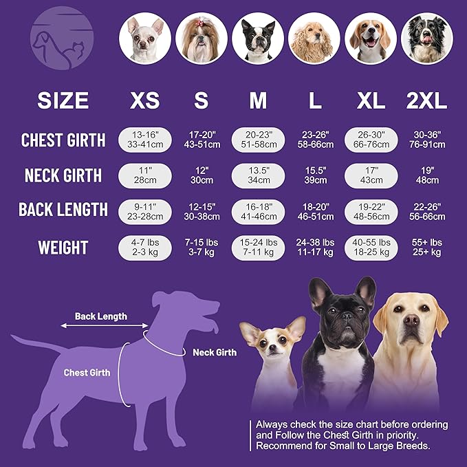 cyeollo Dog Surgery Recovery Suit Soft Breathable Female Male Pet Bodysuit for Spay, Neuter, Surgical Recovery Shirt for Small Medium Large Dogs, Purple, L