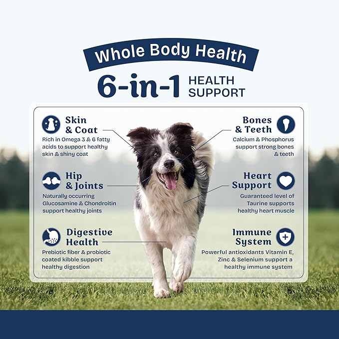Natural Balance Health Protection Dry Dog Food – Whole Body Health, Easy on Digestion Dog Food Made with Lamb, Brown Rice & Pumpkin for Dogs - 4lbs.