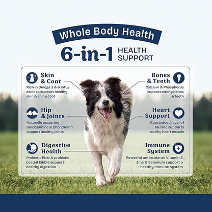 Natural Balance Health Protection Dry Dog Food – Whole Body Health, Easy on Digestion Dog Food Made with Lamb, Brown Rice & Pumpkin for Dogs - 4lbs.