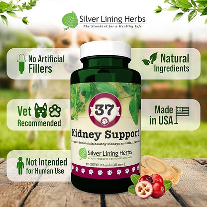 Silver Lining Herbs Kidney Support for Dogs – Natural Herbal Canine Kidney Cleanse & Bladder Support Supplement with Cranberry & Astragalus - Urinary Tract Health & Renal Vitamins – 90 Capsules
