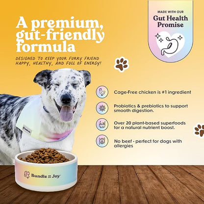 Bundle x Joy Golden Probiotic Dog Food Dry, Chicken, 24lb Bag, Allergy and Gut-Friendly Adult Kibble for Digestive Health Made with Cage-Free Chicken, 20 Plant Based Superfoods, Grain Free