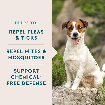 VetIQ Flea & Tick Support for Dogs, Flea and Tick Chewable, Supports Dog's Natural Flea Defenses, Free of Added Chemicals and Garlic, Hickory Smoke Flavor, 60 Count