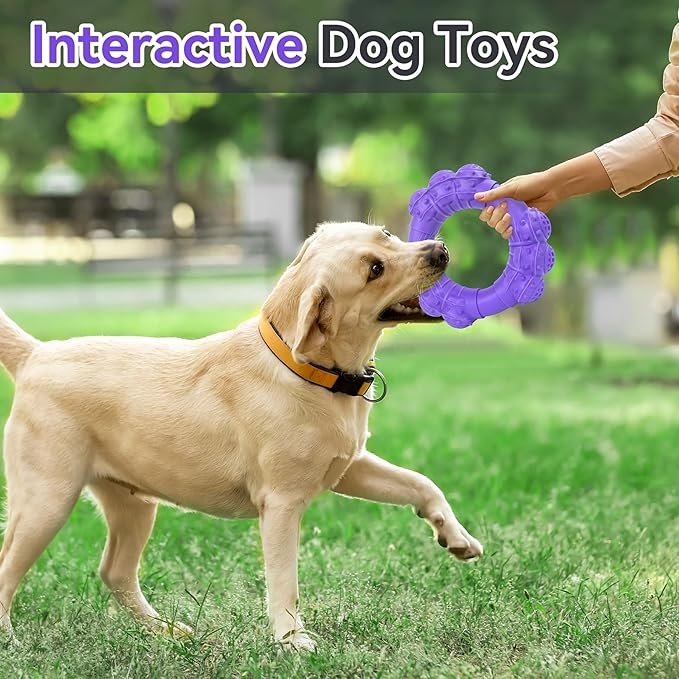 Indestructible Dog Chew Toys for Aggressive Chewers, Super Chewer Toys for Medium Large Dogs, Interactive Ring Toy, Heavy Duty Teething Toys