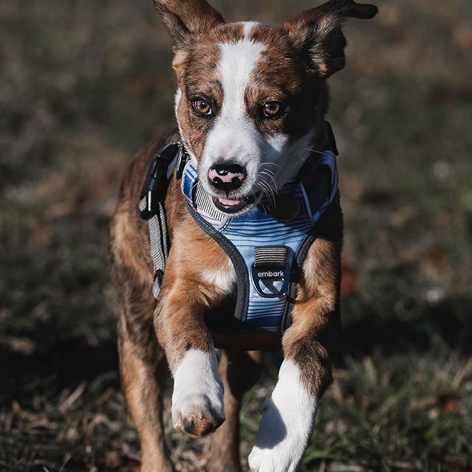 Embark Adventure Large Dog Harness – No-Pull, Reflective Trim, Military-Grade Nylon, Front Clip with Gel-Lined Handle