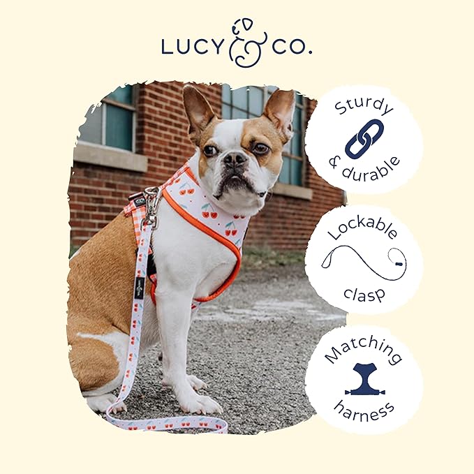 Lucy & Co. Cheery Cherries - Designer Dog Leash for Small to Large Dogs - Padded Handle for Comfort - Large, Red Gingham Cherries - 5 Foot