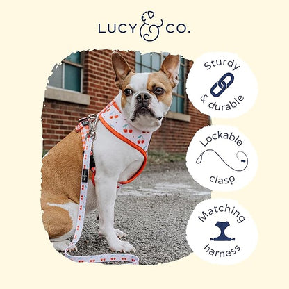 Lucy & Co. Cheery Cherries - Designer Dog Leash for Small to Large Dogs - Padded Handle for Comfort - Large, Red Gingham Cherries - 5 Foot