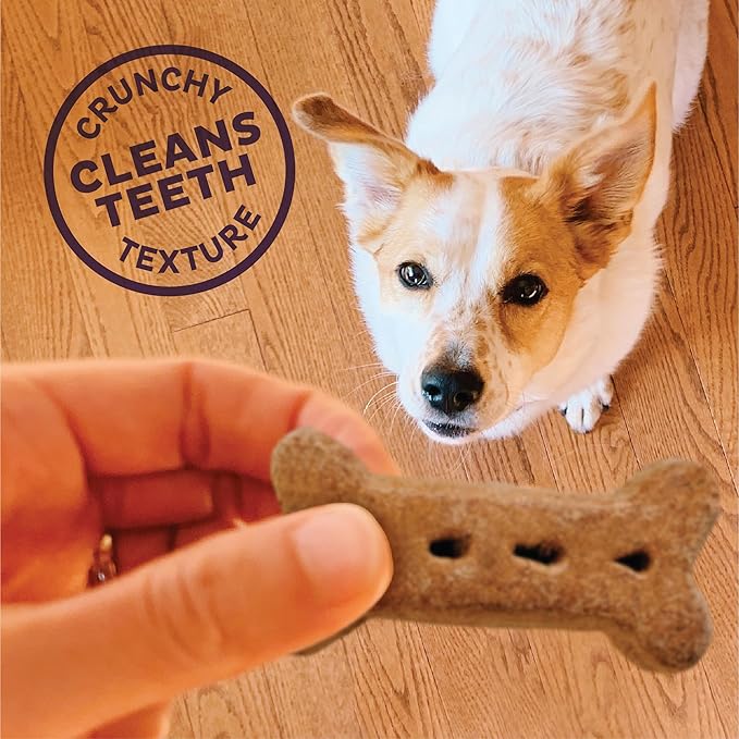 Old Mother Hubbard Wellness Original Mix Dog Biscuits, Natural, Training Treats, Four Flavors, Large Size, (3.5 Pound Bag)