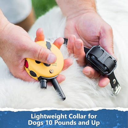 Educator ET-302 Mini E Collar for Dog Training with Remote - 1/2 Mile Range, Waterproof, 100 Blunt Stimulation Levels, Tone or Vibration Mode, Night Light for Small, Medium & Large Dogs (2 Dogs)