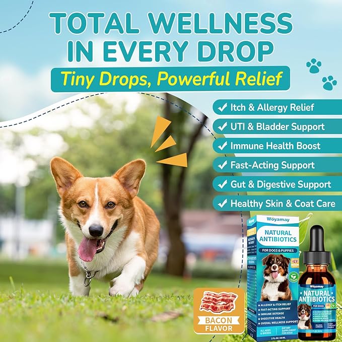 Woyamay Antibiotics for Dogs | Natural Dog Antibiotics for Allergy Relief, Itch Relief, Coughs, Skin Health, Breath Treatment, Digestion | Herbal Supplement to Care for Ears, Eyes & Coat, 4 Fl Oz
