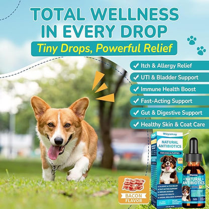 Woyamay Antibiotics for Dogs | Natural Dog Antibiotics for Allergy Relief, Itch Relief, Coughs, Skin Health, Breath Treatment, Digestion | Herbal Supplement to Care for Ears, Eyes & Coat, 4 Fl Oz