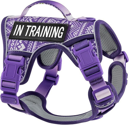 AUNZO Dog Harness for X-Small Dog Breed, Light Pet Vest Harness with 2 Leash Clips and 3 Buckles, Easy to Wear, Adjustable Reflective Soft Padded, Boston Terrier, Beagle, Poodles, XS