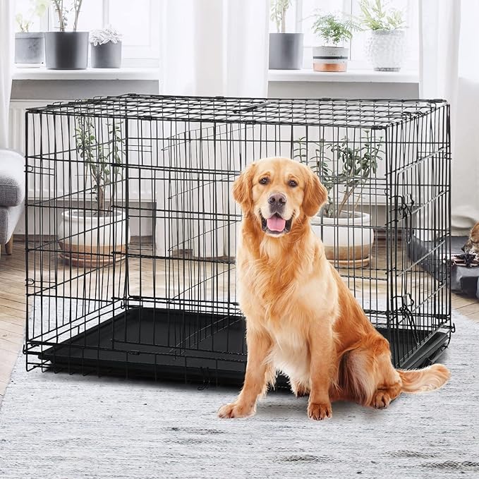 Large Dog Crate, 48 Inch Dog Cage Dual Door Metal Dog Cage with Divider Panel, Leak-Proof Pan, Indoor Outdoor Folding Pet Dog Kennel for Large Pet Animals