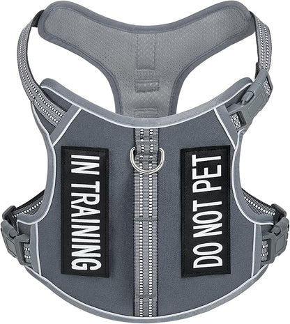 Light Dog Harness for Small Sized Dog Breeds, No-Pull Pet Harness with 2 Leash Clips, Adjustable Soft Padded Dog Vest, Reflective Pet Oxford Vest, Puggle, Terriers, Beagle, Gray, Small