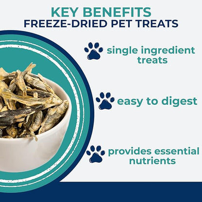 Momentum Carnivore Nutrition Freeze-Dried Minnows Dog Treats & Cat Treats – Single-Ingredient, High-Protein, Grain-Free, Natural Whole-Fish Treat – Made in USA – 2 oz Bag