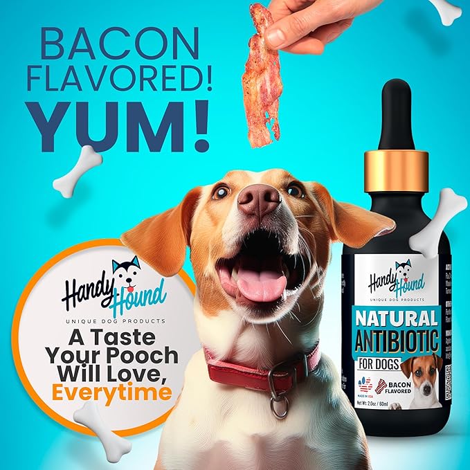 Natural Antibiotics for Dogs Without Vet Prescription – Dog Antibiotics for Infection, Cough, UTI, Allergies – Dog Itching Skin Relief Supplement – Bacon Flavor (2 oz)